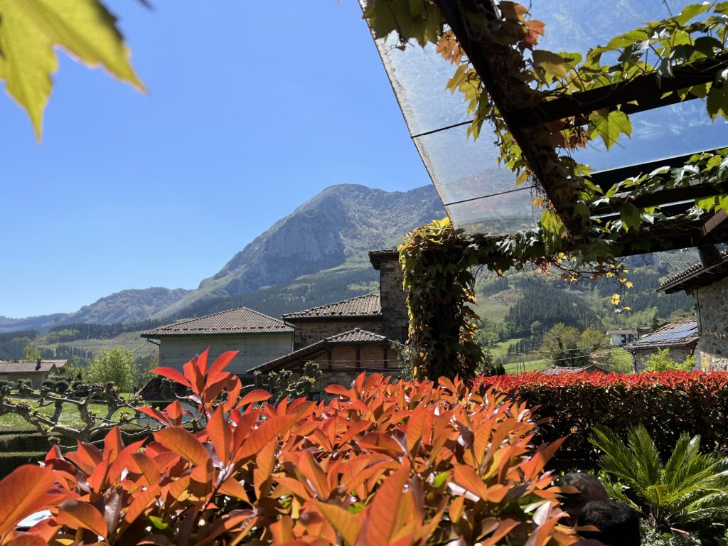 Vistas desde la terraza del Asador Etxebarri al Monte Atxondo